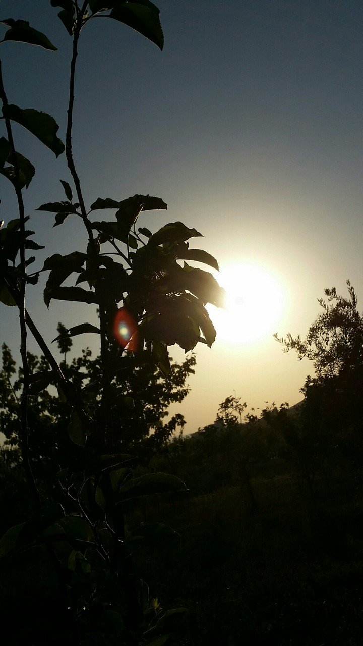sunset