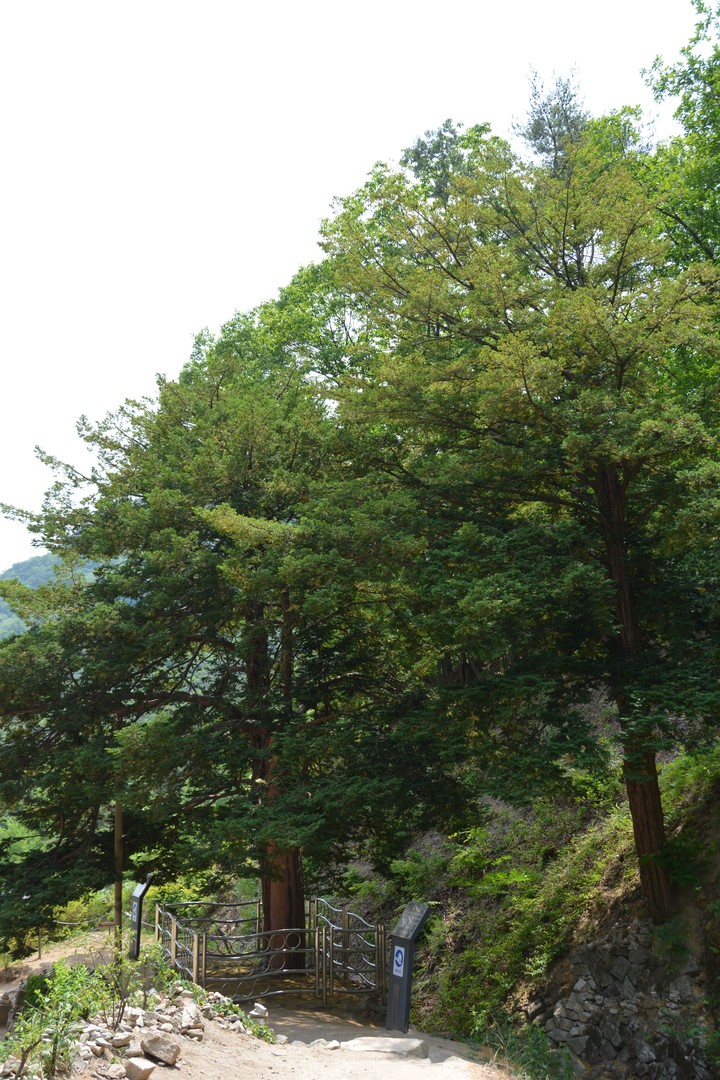오봉산이미지