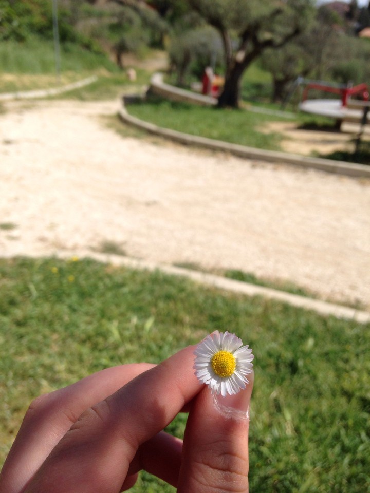 park