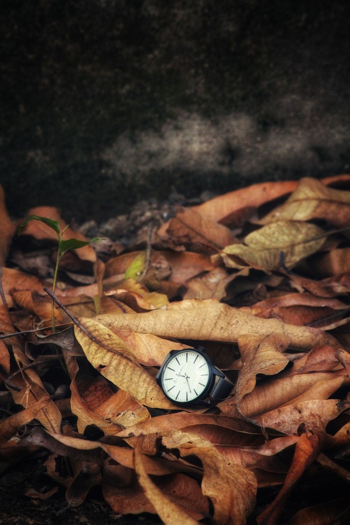 Ethnic watch