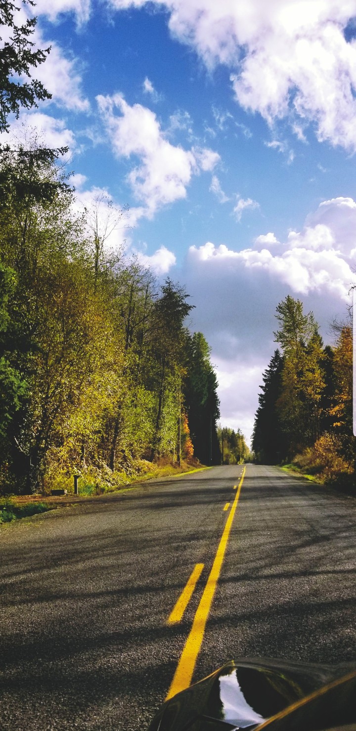 drive home