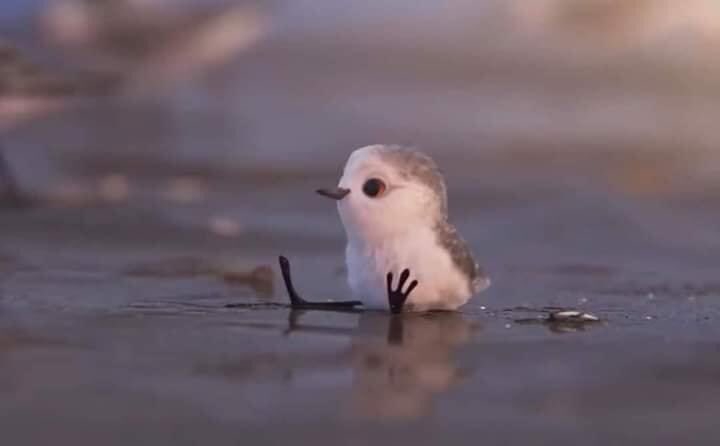 Aa