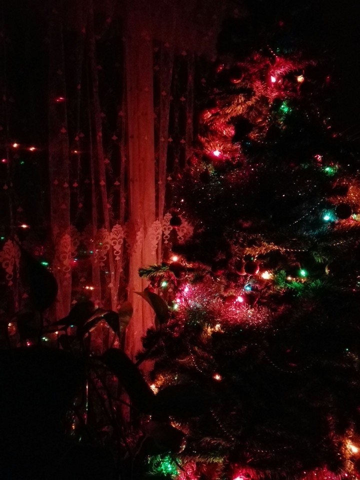 Christmas Tree