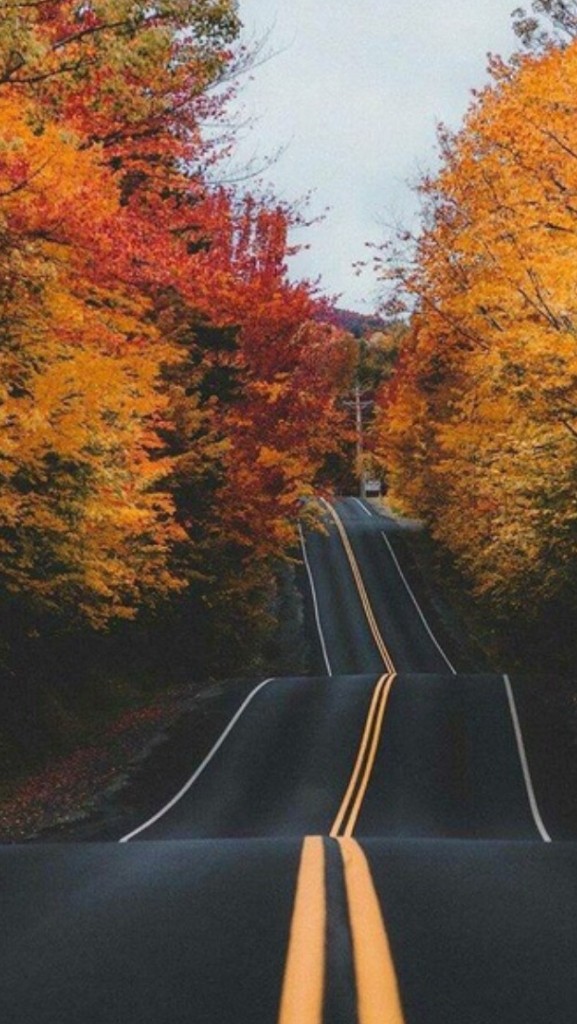 viaje sin retorno