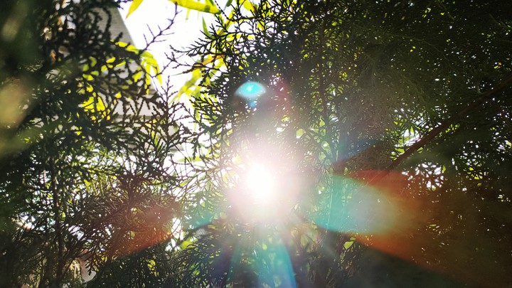 Sun Rays