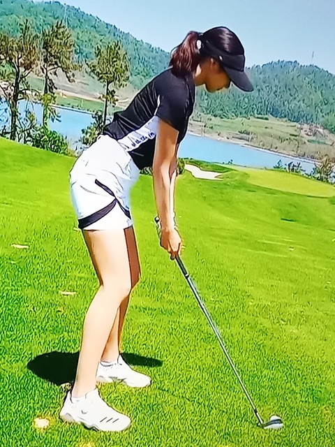 тапети tree, Golf