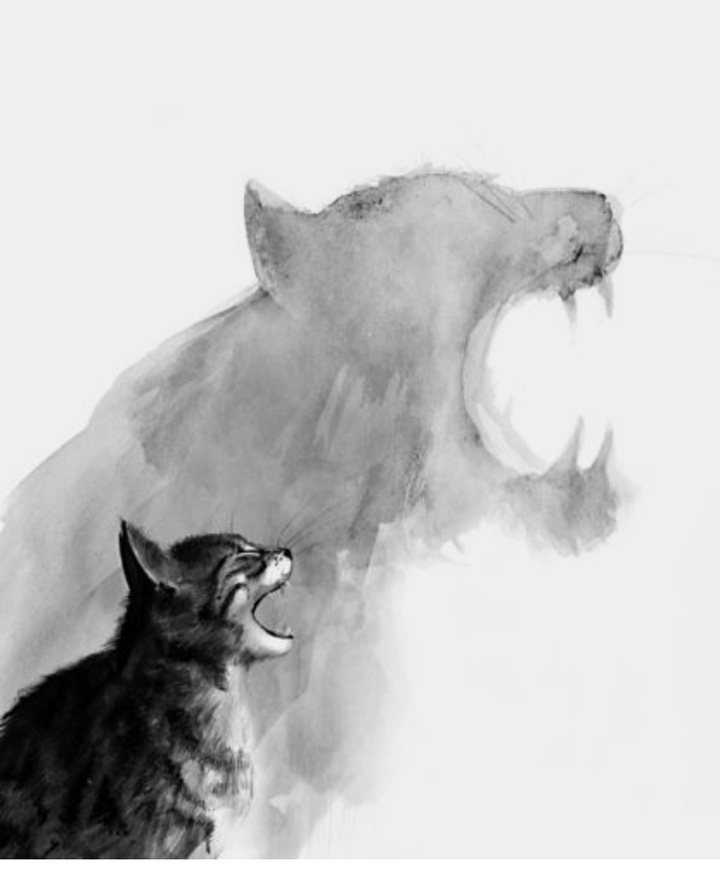 The true nature of the cat