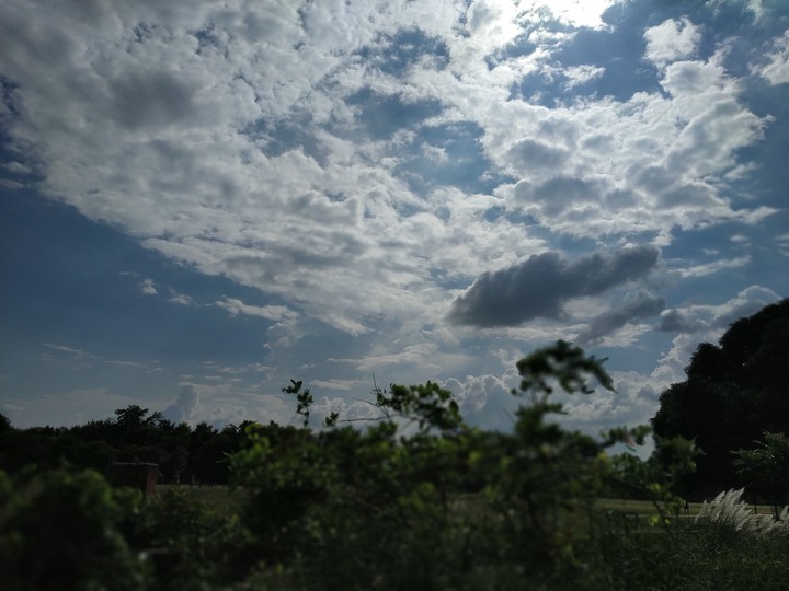 Nature
