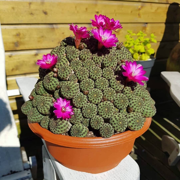 ❤