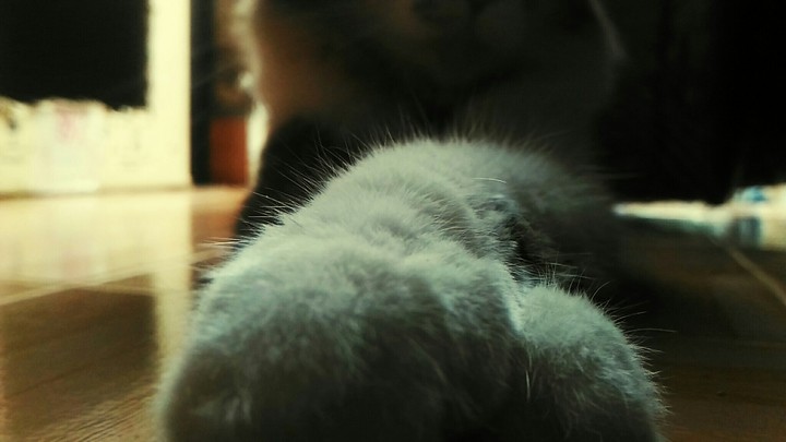 Cute