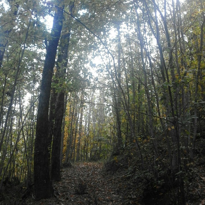 autunno