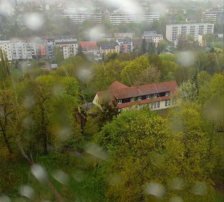 Regen im Paradies
