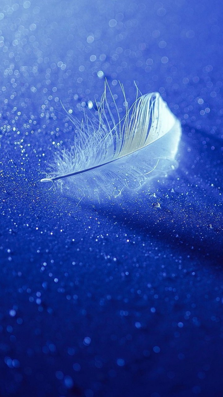 wing
