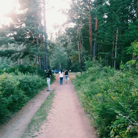 nature