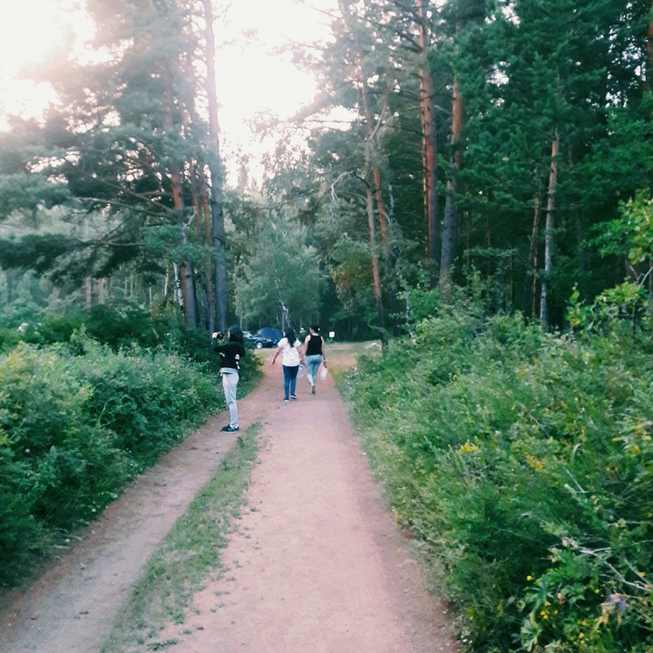 nature