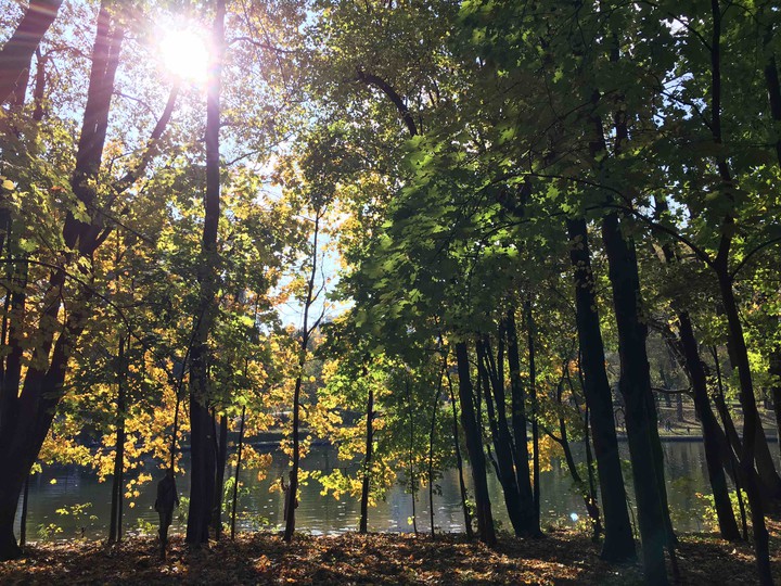 Autumn park