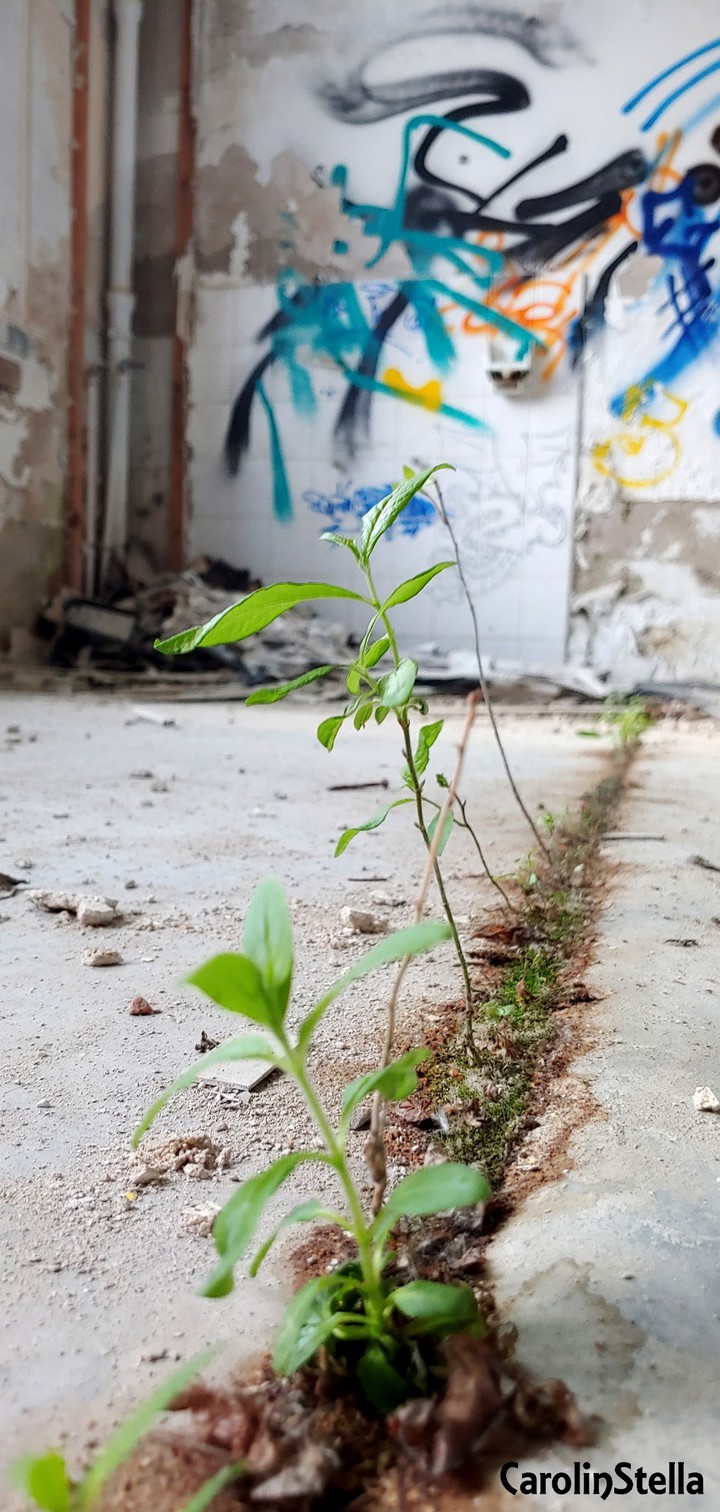 LostPlace