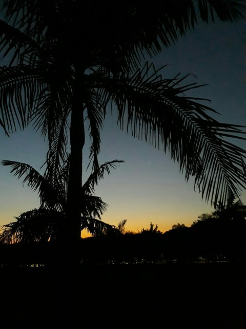 Shadows......