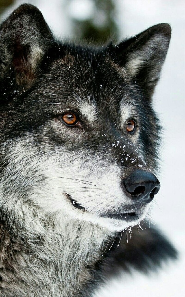 ‎‎