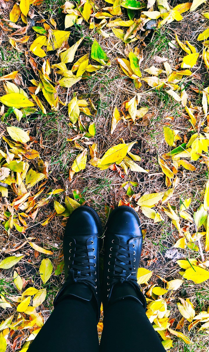 Autumn
