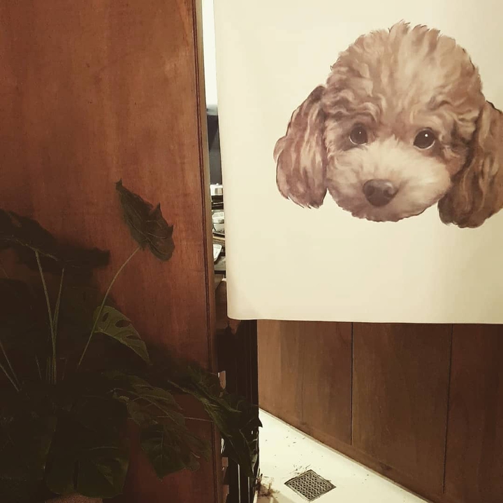 카페