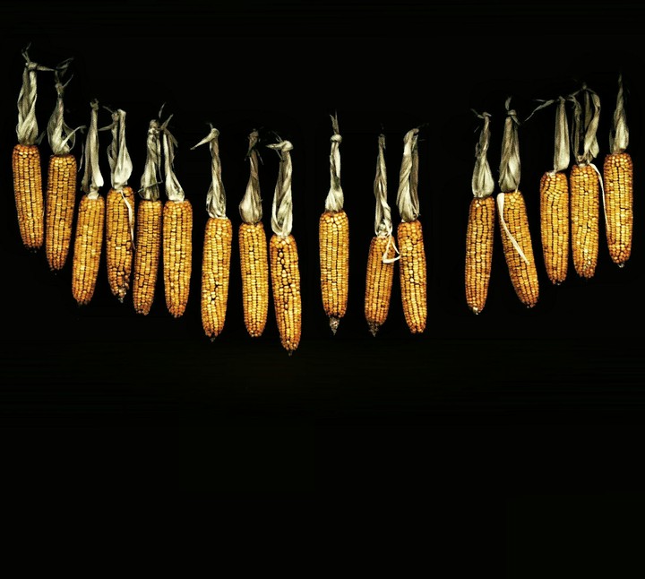 corn