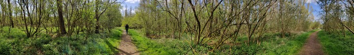 Natural park Lelystad