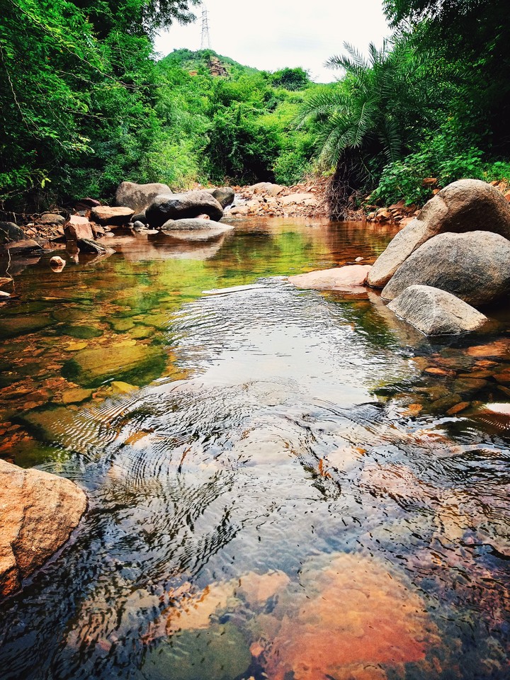 Water