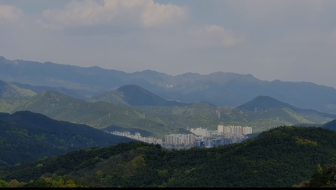 멀리서