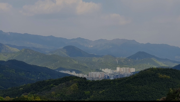 멀리서