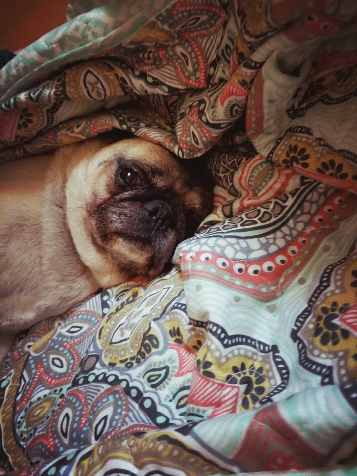 peekaboo