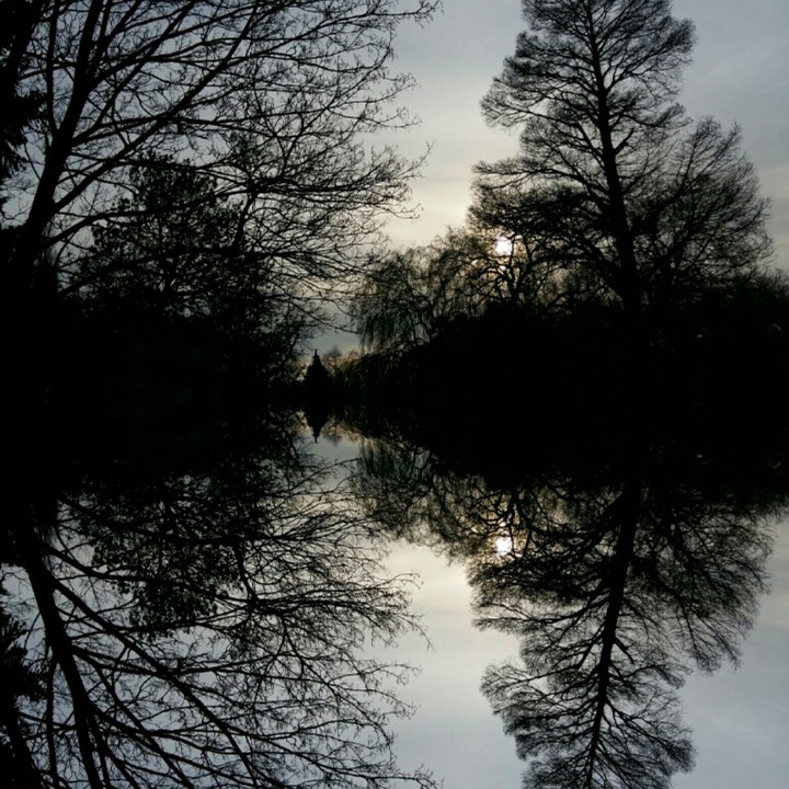 coucher de soleil dans un parc