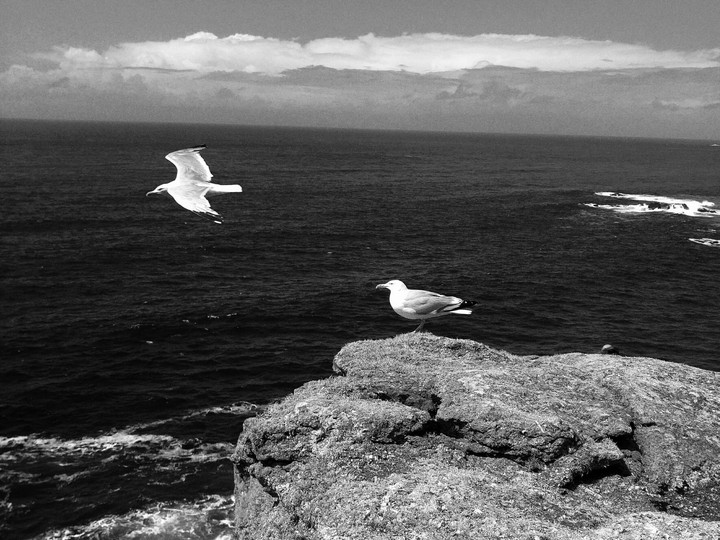 black and white