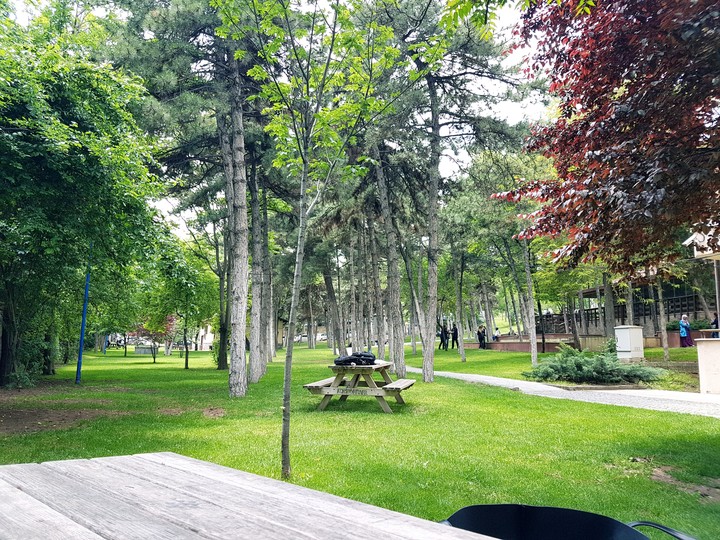 gazi üniversitesi