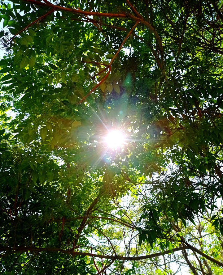 sun