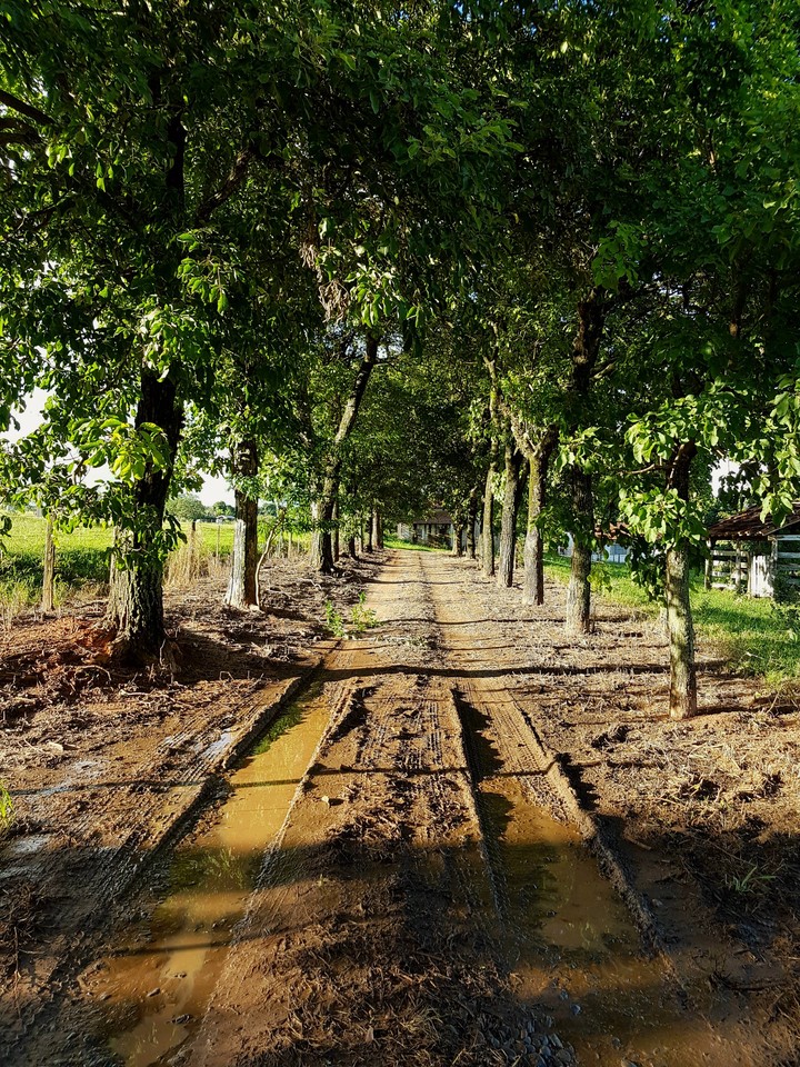 Mudy road.