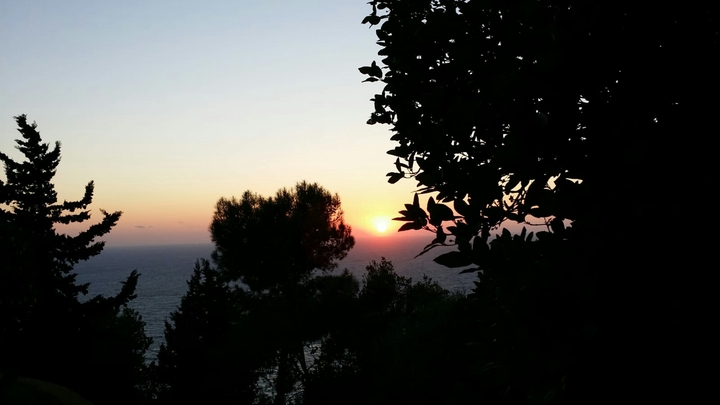 SUN