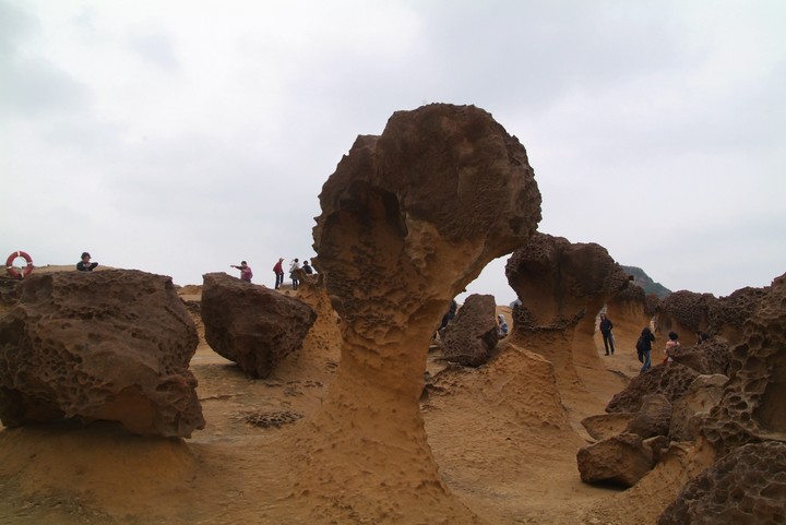 Scenics