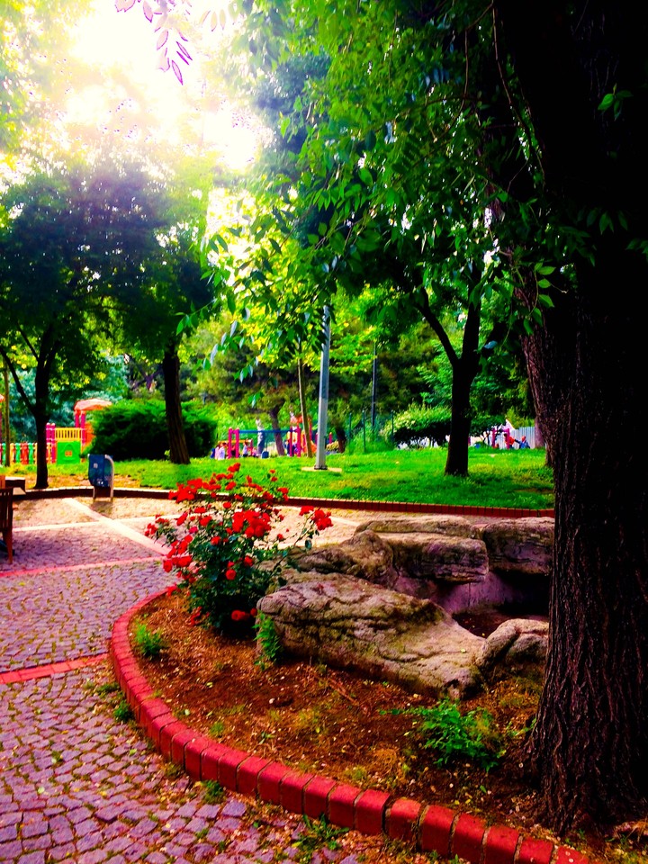 Turkey
