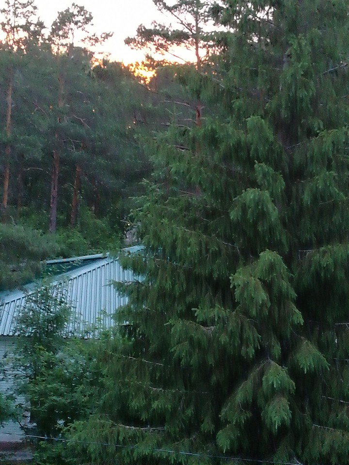 вечер...