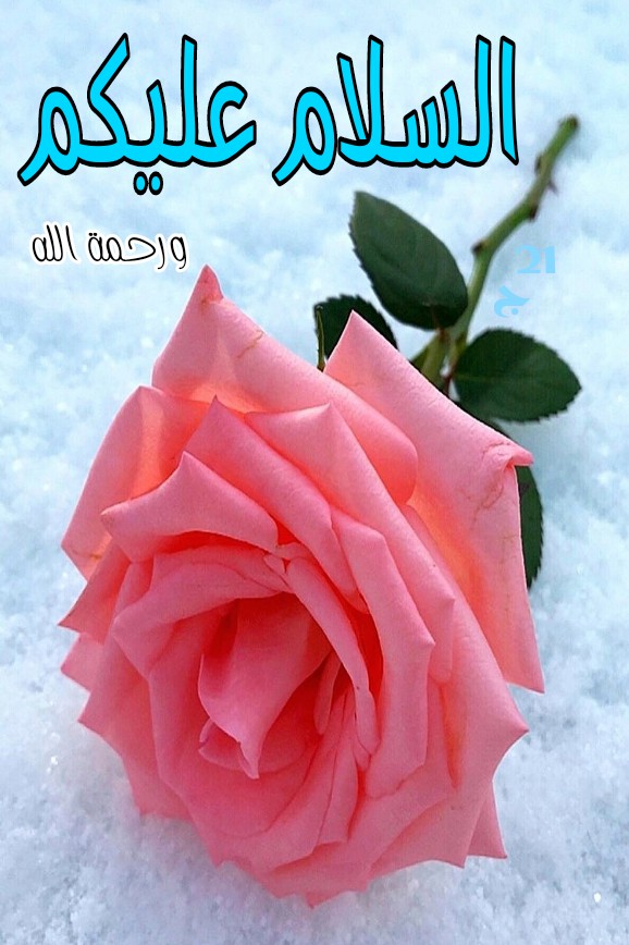 Asslaam u alaikum.