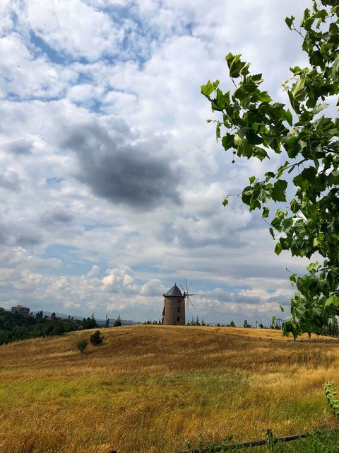 Mill