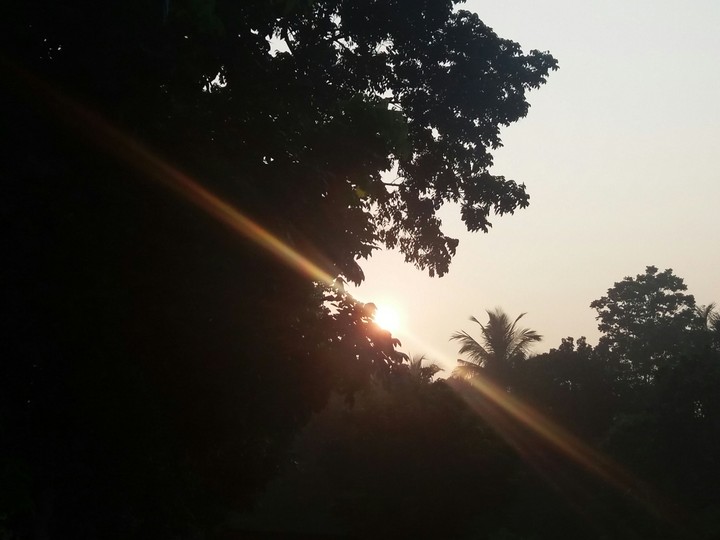 sun sat
