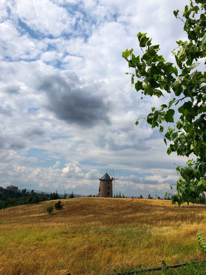 Mill