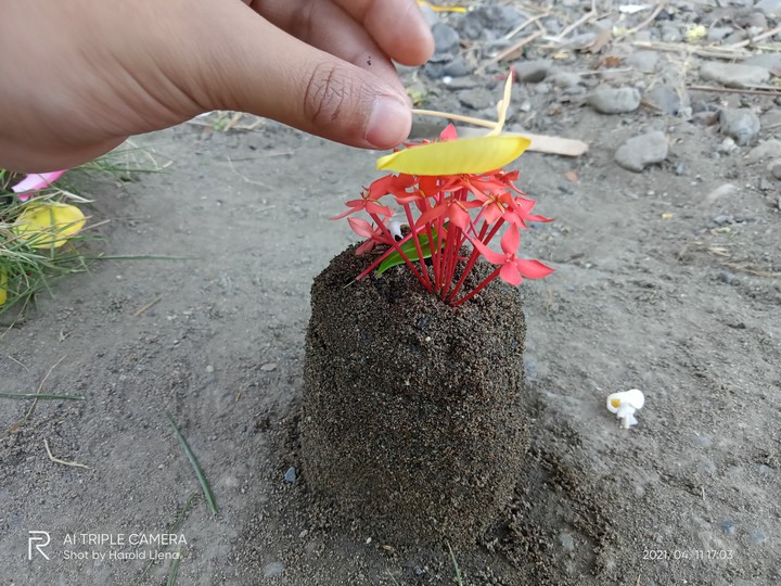 Mini Sand Castle (1) by Manolo