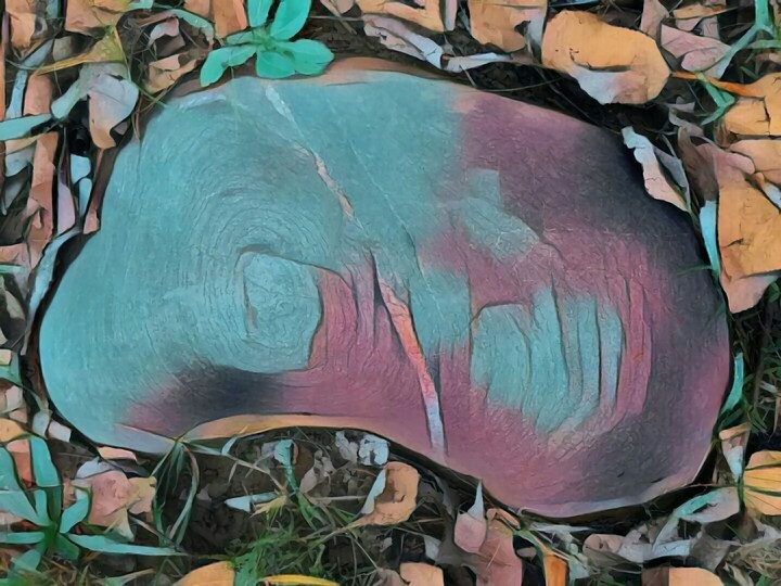 El arte atrapa a la naturaleza.