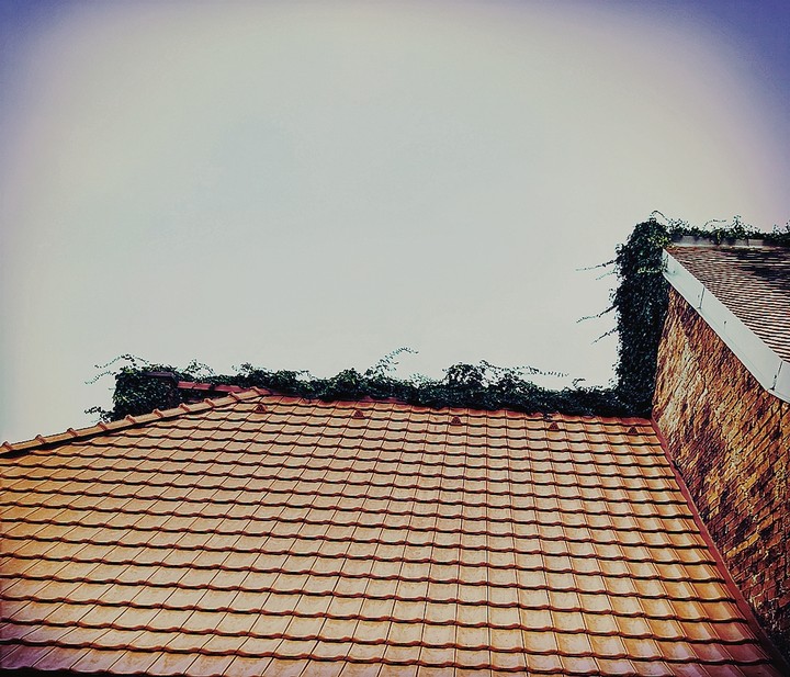 normlaly roof