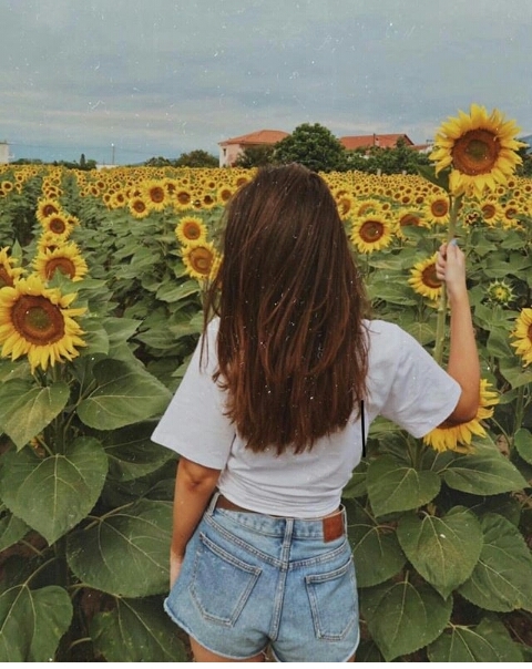girl and sunflower