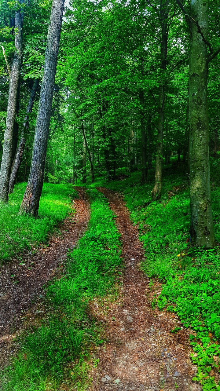 little hiking