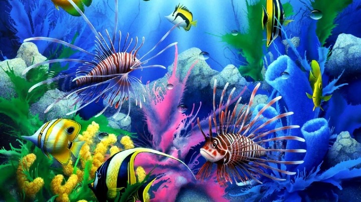 fish
